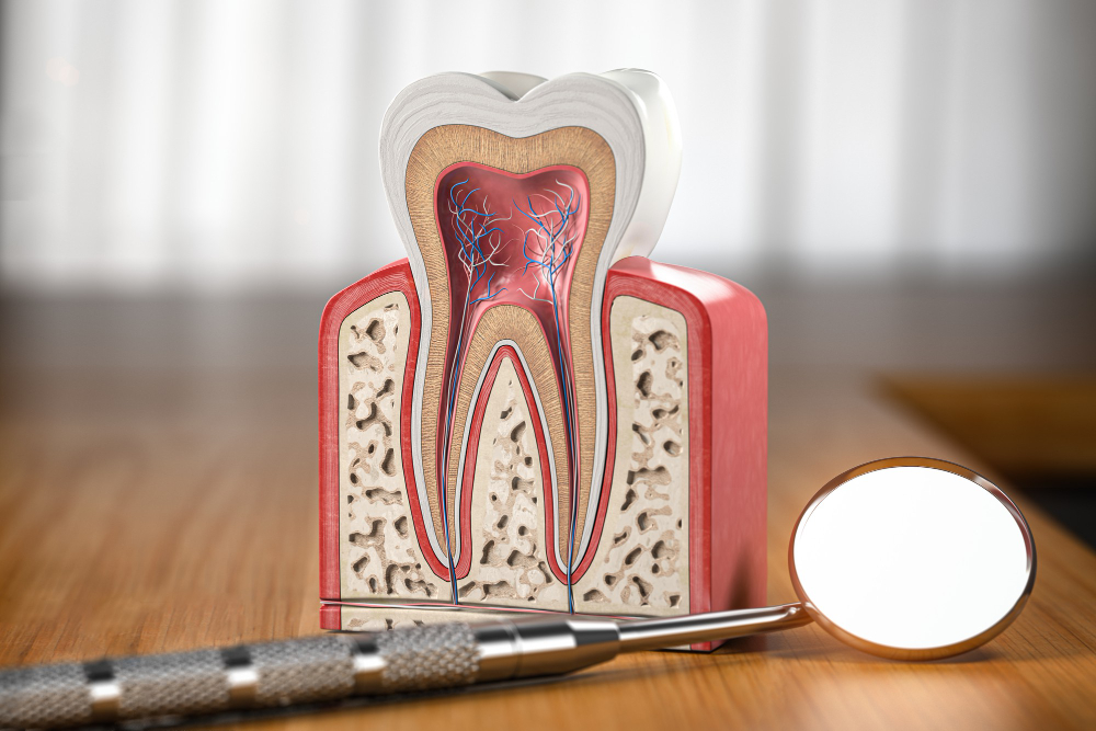 Root Canals  Salt Lake City, UT
